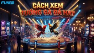 cach-xem-tuong-ga-da-hay